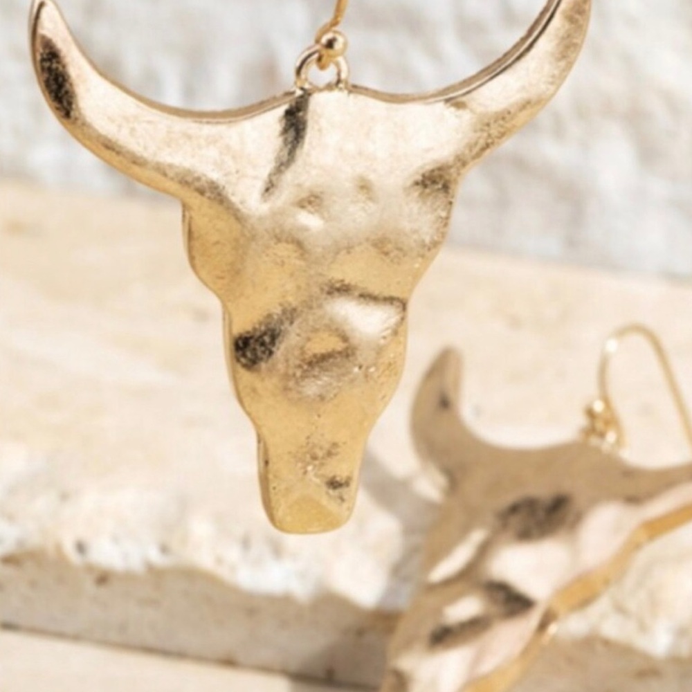 NWT Boho Earrings